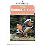 The Mandarin Duck