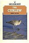The Curlew