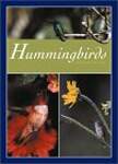 Hummingbirds: Jewels on Air