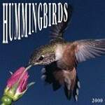 Hummingbirds 2000 Calendar