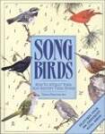 Song Birds: How to Attract Them and Identify Their Songs