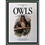 Owls