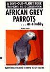 African Grey Parrots.Getting Started