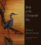 Birds of the Chesapeake Bay