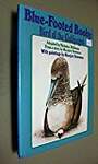 Blue-Footed Booby: Bird of the Galapagos