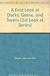 A First Look at Ducks, Geese, and Swans