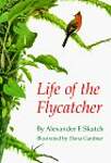 Life of the Flycatcher
