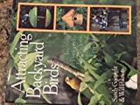 Attracting Backyard Birds: Inviting Projects to Entice Your Feathered Friends