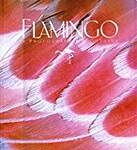 Flamingo: A Photographer's Odyssey