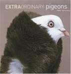 Extraordinary Pigeons 2005 Calendar