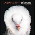 Extraordinary Pigeons 2006 Calendar