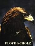 Birds of Prey