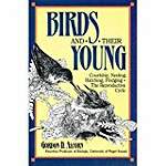 Birds and Their Young: Courtship, Nesting, Hatching, Fledgling : The Reproductive Cycle