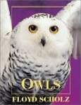 Owls