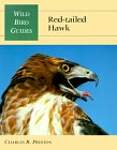 Red-Tailed Hawk