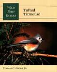 Tufted Titmouse