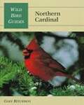 Northern Cardinal