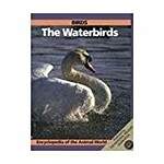 Birds: The Waterbirds