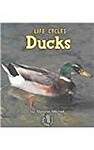 Ducks