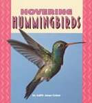 Hovering Hummingbirds