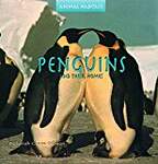 Penguins and Their Homes