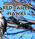 Red-Tailed Hawks