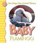Baby Flamingo