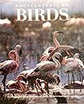 Encyclopedia of Birds