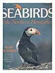 Seabirds of the Northern Hemisphere
