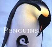 Penguins