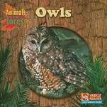 Owls