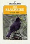 The Blackbird