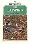 The Lapwing