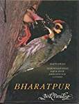 Bharatpur: Bird Paradise