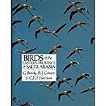 Birds of the Eastern Province of Saudi Arabia