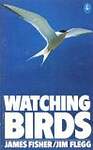 Watching Birds