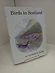 Birds in Scotland