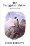 Peregrine Falcon