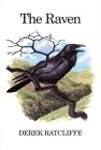 The Raven: A Natural History in Britain and Ireland (T  AD Poyser)