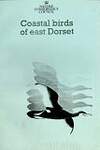 Coastal Birds of East Dorset