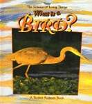 What Is a Bird?