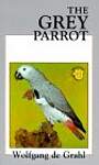Grey Parrot