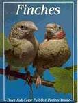 Finches