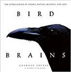 Bird Brains: The Intelligence of Crows, Ravens, Magpies, and Jays