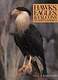 Hawks, Eagles and Falcons of North America: Biology and Natural History
