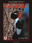 Iowa Birdlife