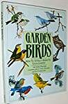 Garden Birds: How to Attract Birds to Your Garden