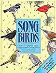 Songbirds: How to Attract Them and Identify Their Songs