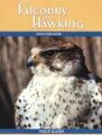 Falconry and Hawking