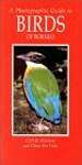A Photographic Guide to the Birds of Borneo